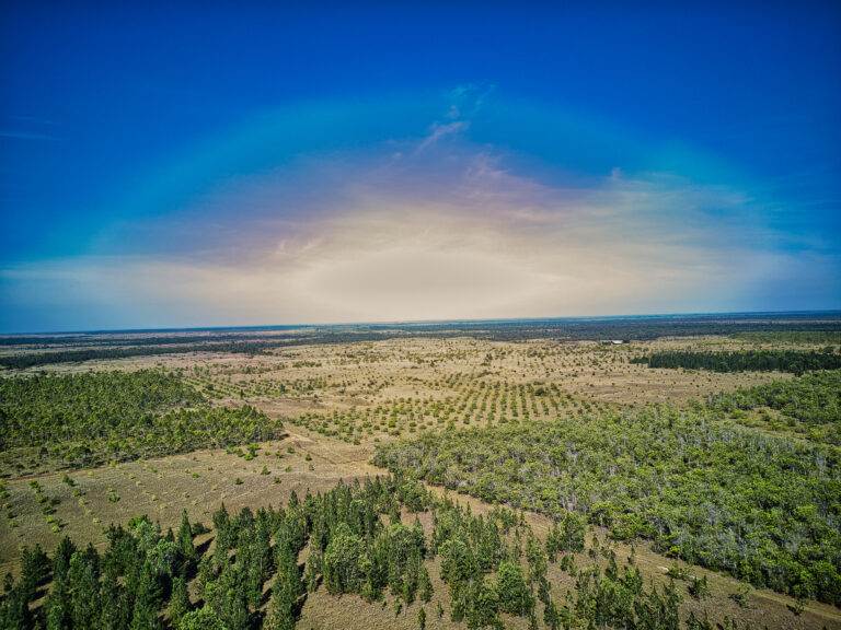pano0012